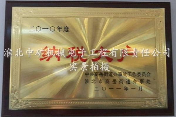 2010年度納稅大戶榮譽